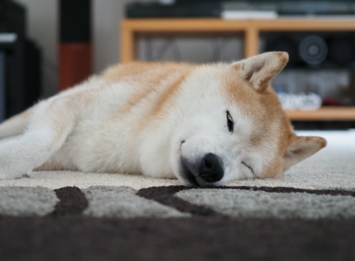 5日ブログ２
