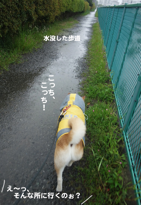 1日のブログ３