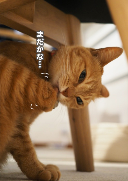 2日夕ブログ５