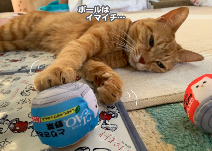 13日夕ブログ５