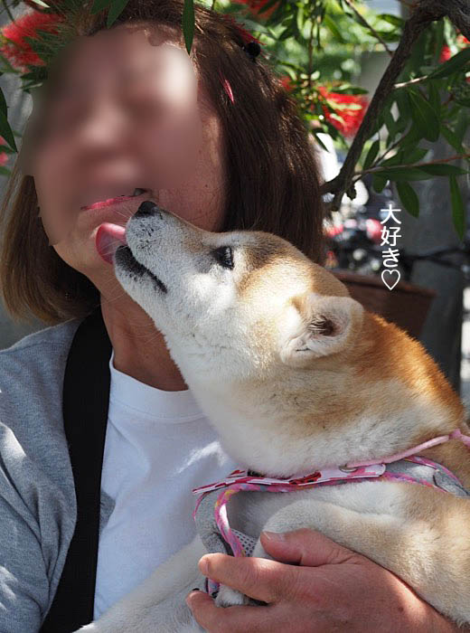 21日ブログ５