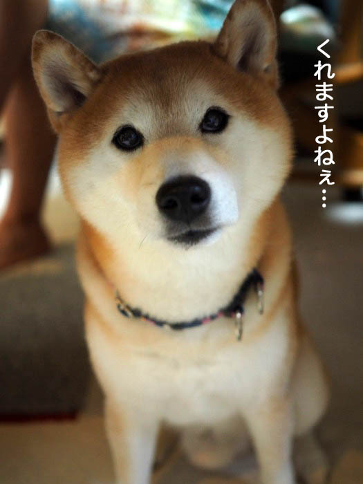 17日夜ブログ６