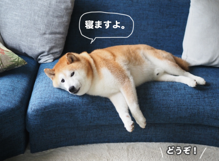 18日ブログ４