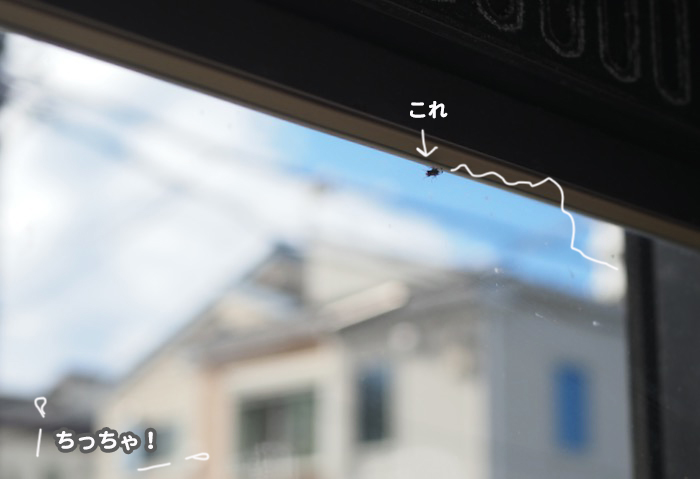 18日ブログ３