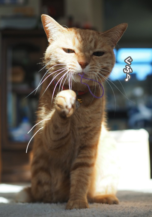13日夕ブログ５