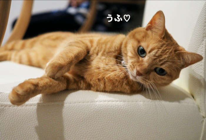 15日夕ブログ８