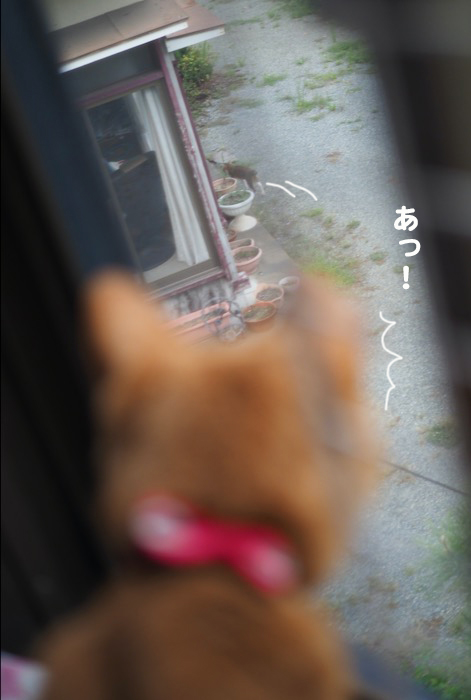 27日夕ブログ５