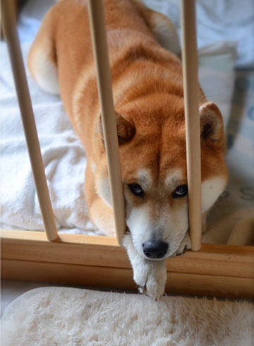 25日ブログ３.jpg