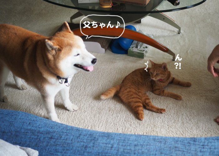 14日夜ブログ２