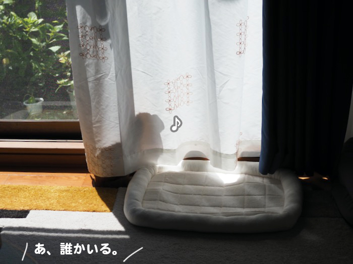 17日夕ブログ２
