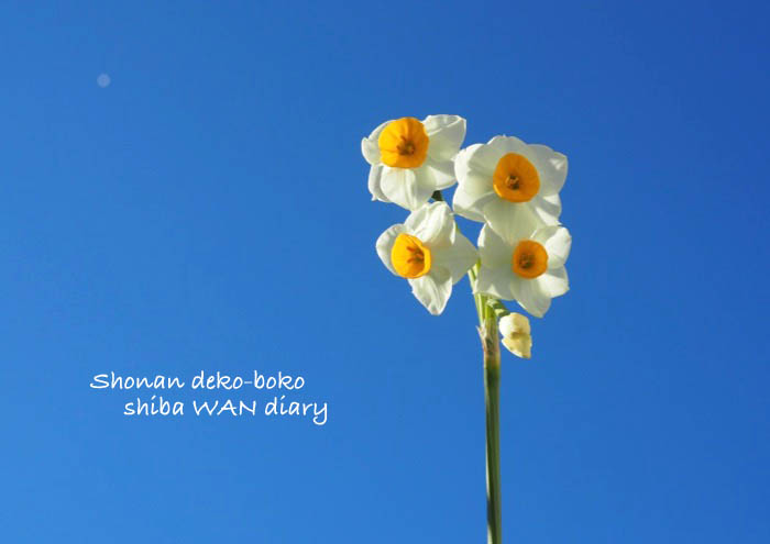 13日ブログ１
