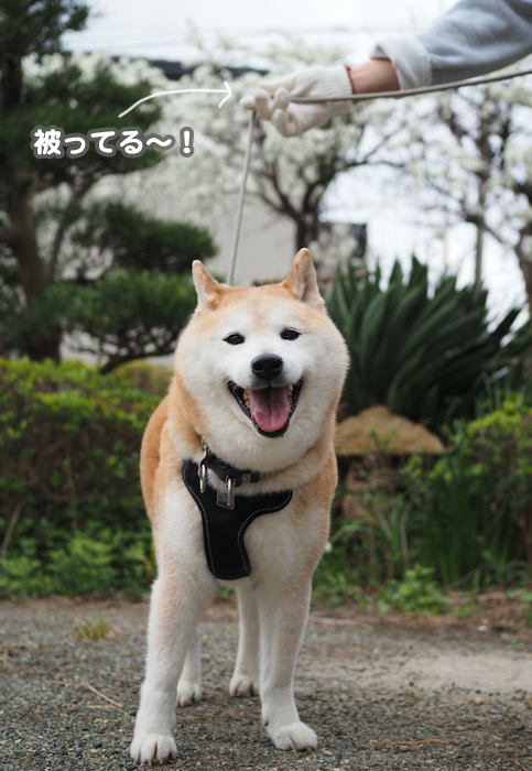 11日ブログ２
