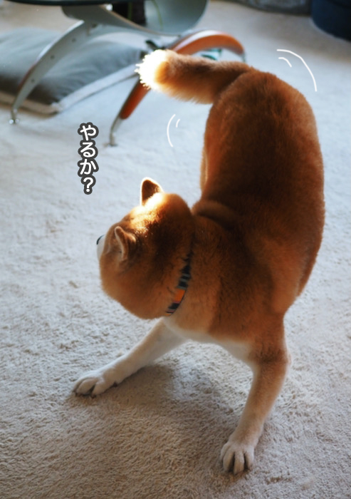 16日夜ブログ３