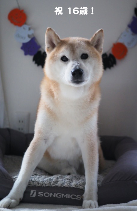 23日夕ブログ２