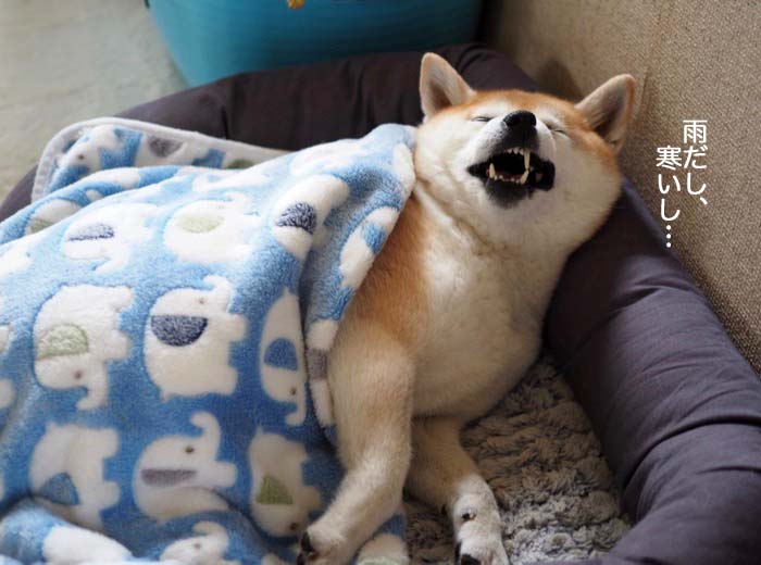 8日ブログ２