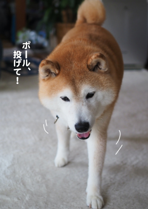 23日夕ブログ３