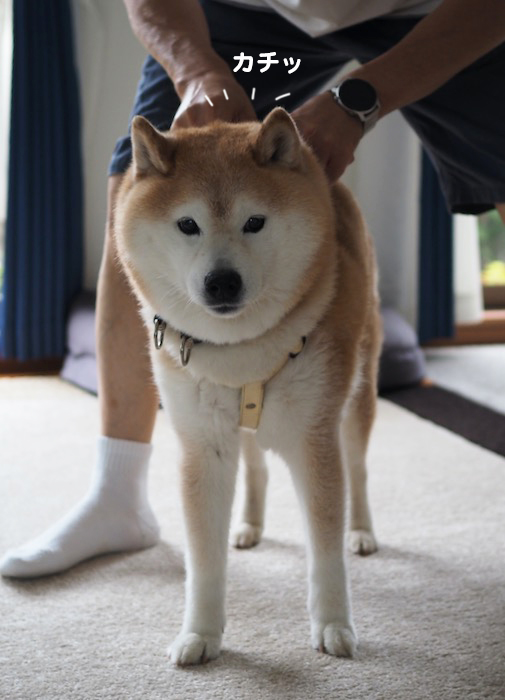 13日夕ブログ５
