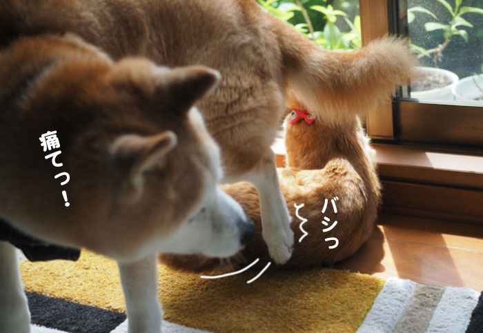 15日夕ブログ22