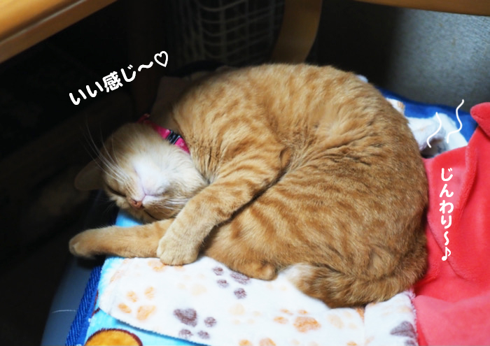 7日ブログ２