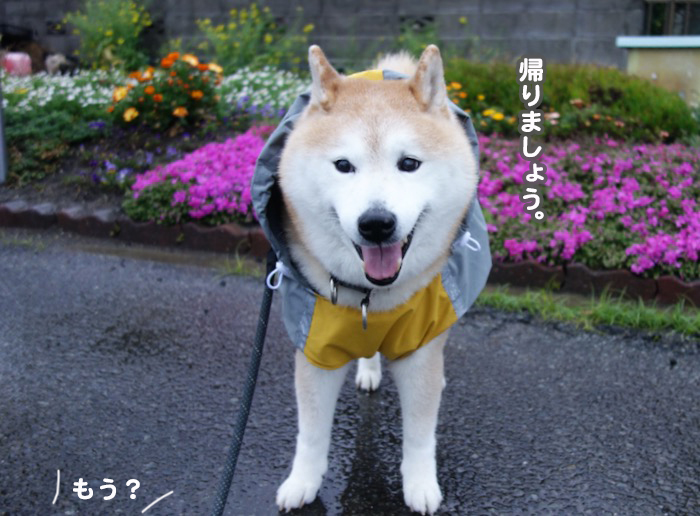 3日夕ブログ５