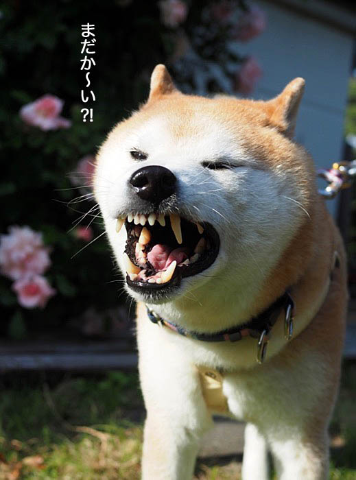 6日夜ブログ４