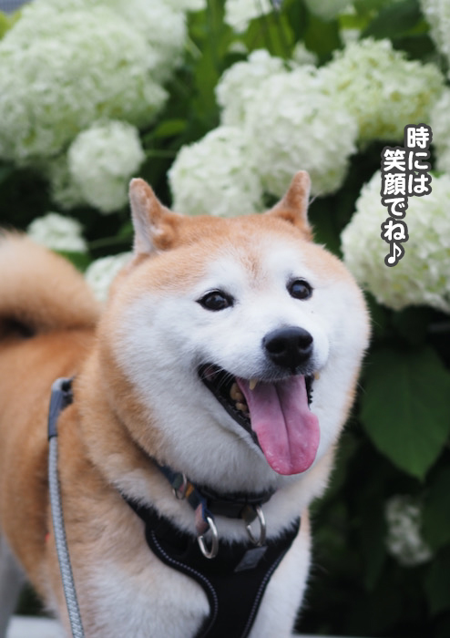 4日夕ブログ７