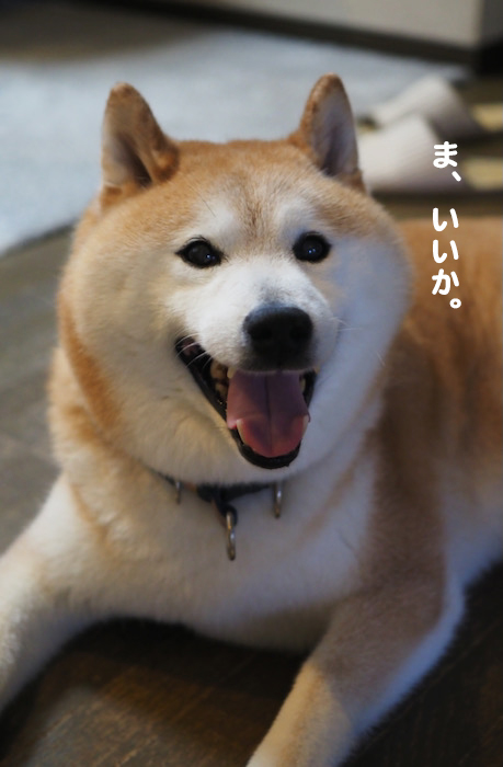 13日夜ブログ４