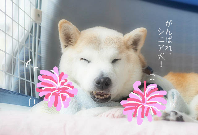 20日ブログ8