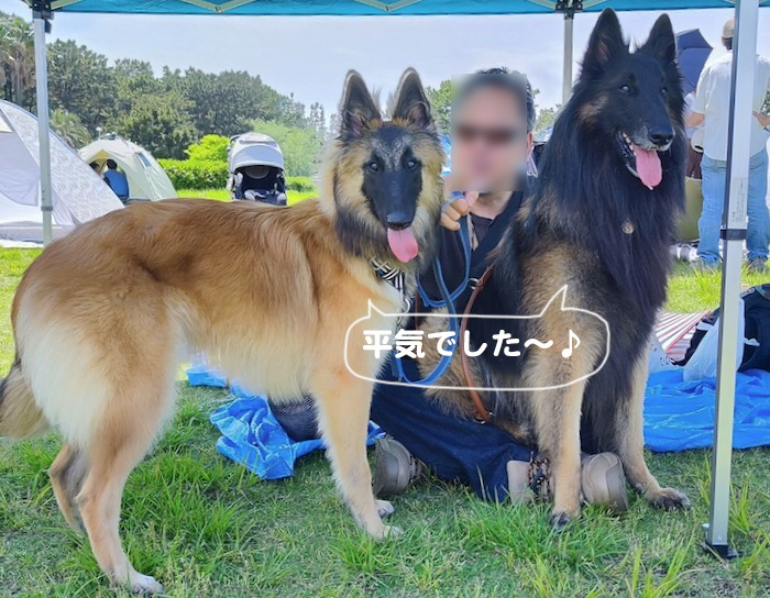 14日夕ブログ５
