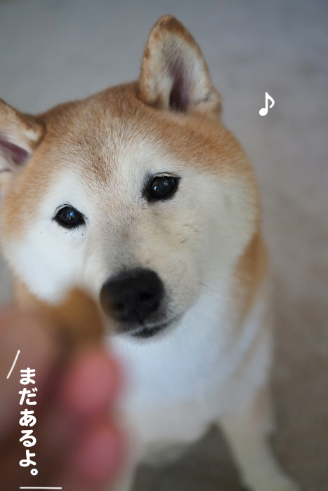 13日夕ブログ６