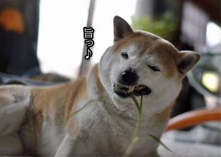 23日ブログ5.jpg