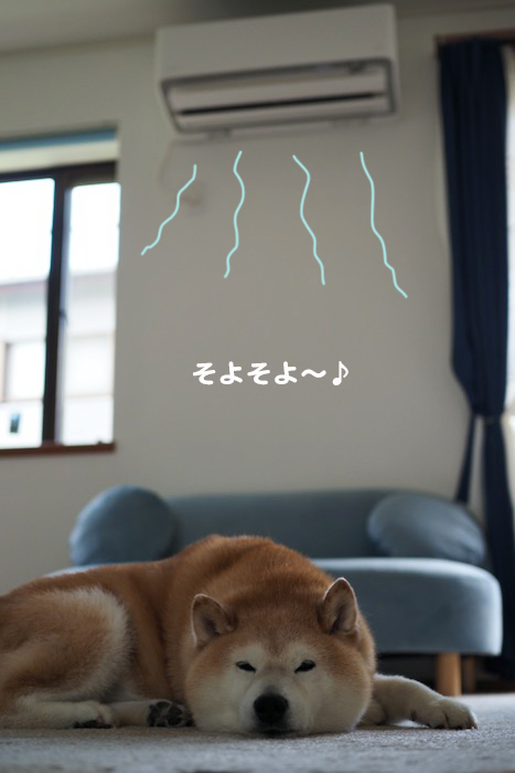 26日ブログ１