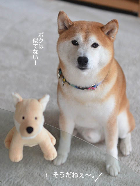25日ブログ5