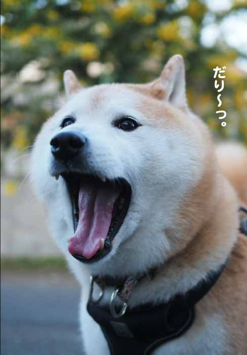 10日ブログ４