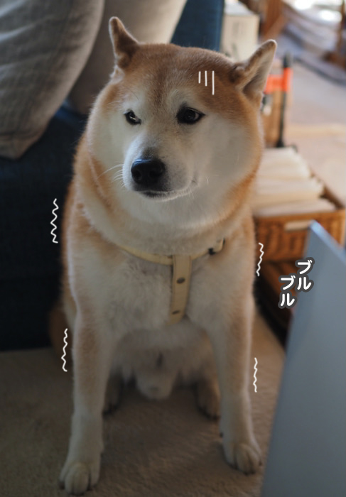 20日夕ブログ５