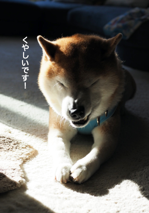 16日ブログ４