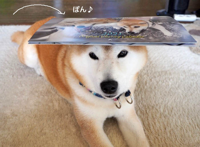 17日ブログ３