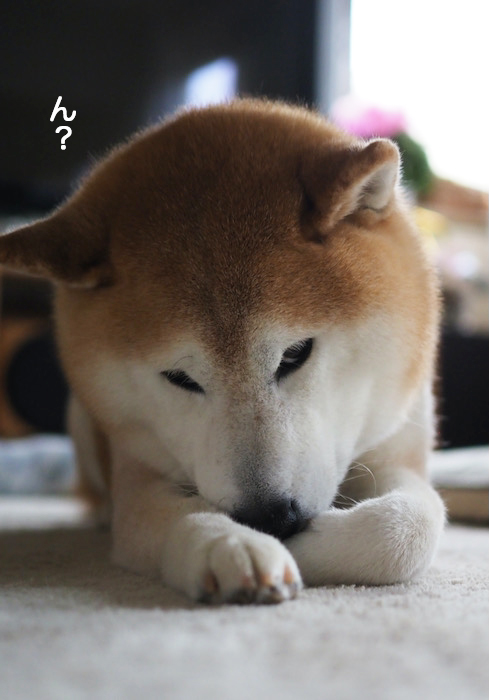 24日ブログ２