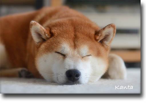 25日ブログ3.jpg