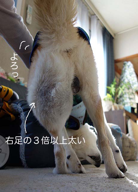 11日ブログ6