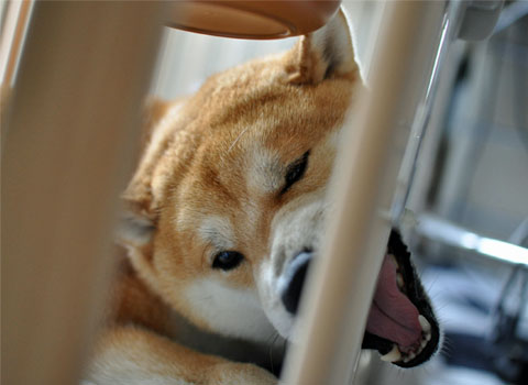 30日ブログ6.jpg