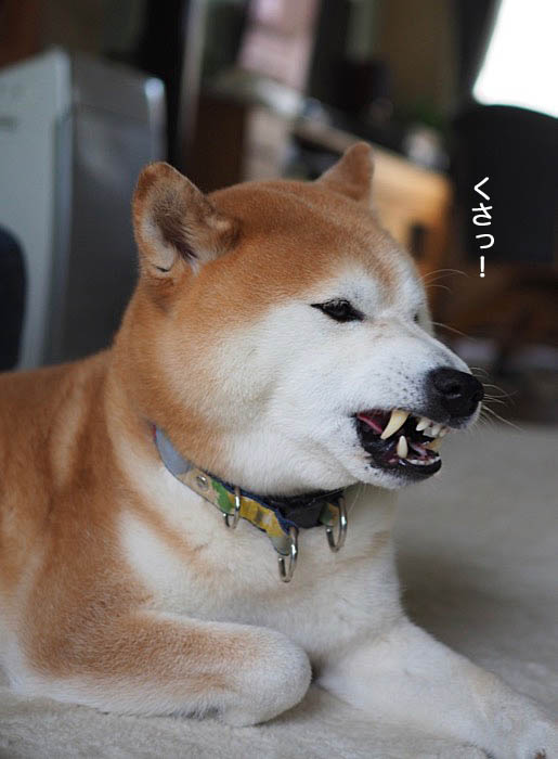 14日ブログ5