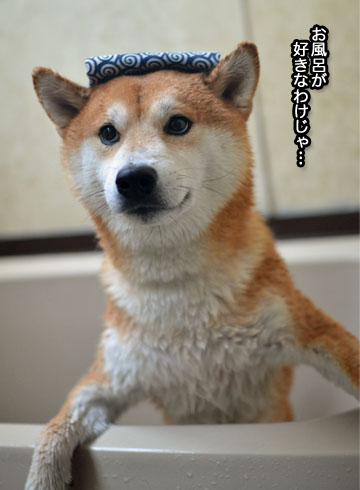 26日ブログ9.jpg
