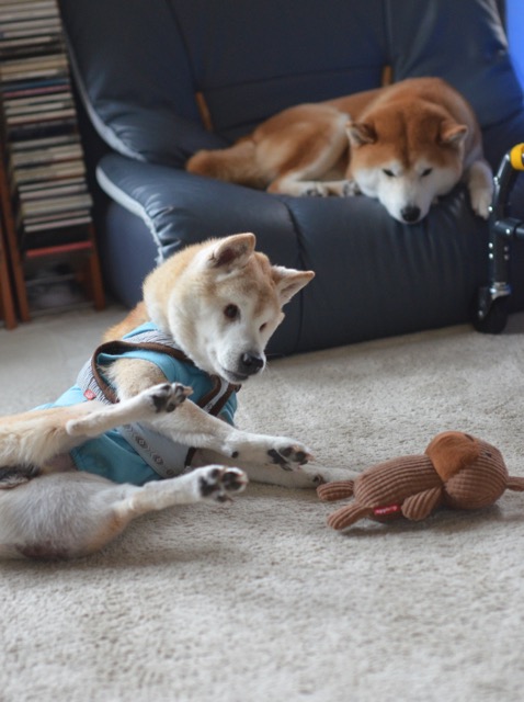 2日ブログ5