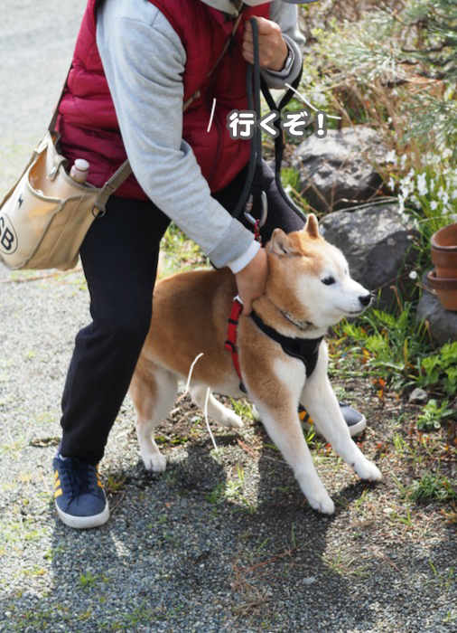 8日夕ブログ２