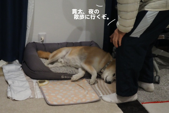 7日ブログ２