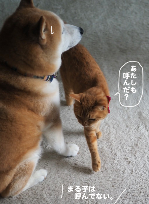 19日ブログ４