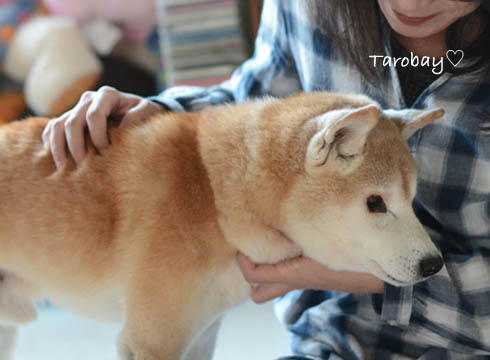 17日ブログ6.jpg