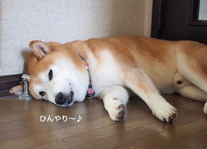 29日ブログ１