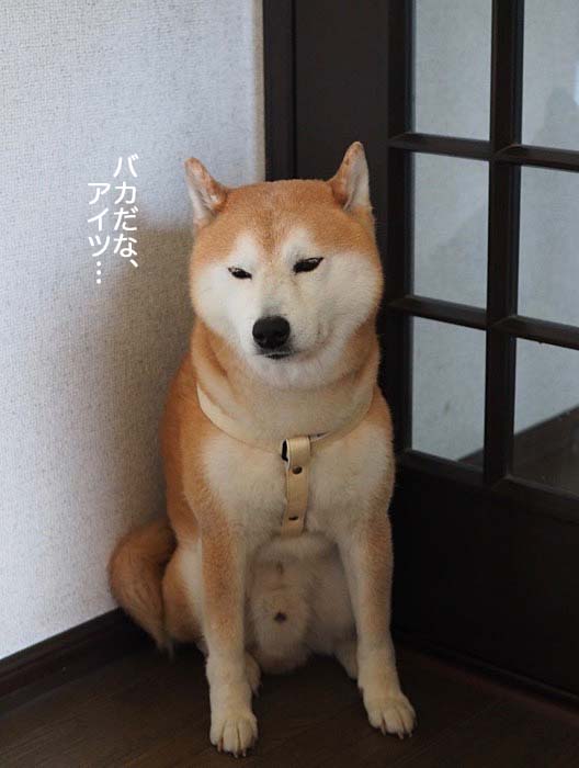 13日ブログ10